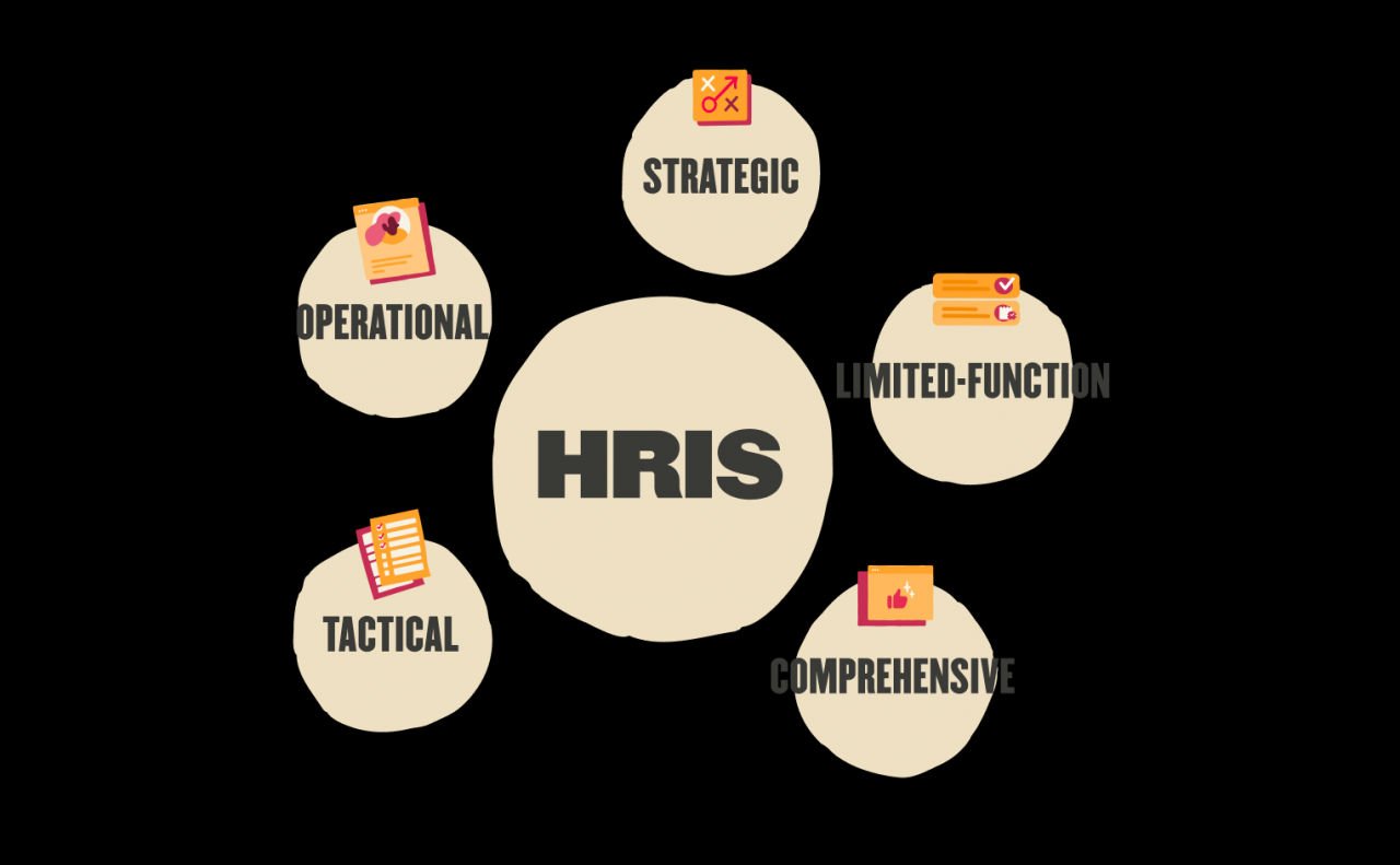 Hris human information system resource definition functions importance important means Hris human information system resource definition functions importance important means