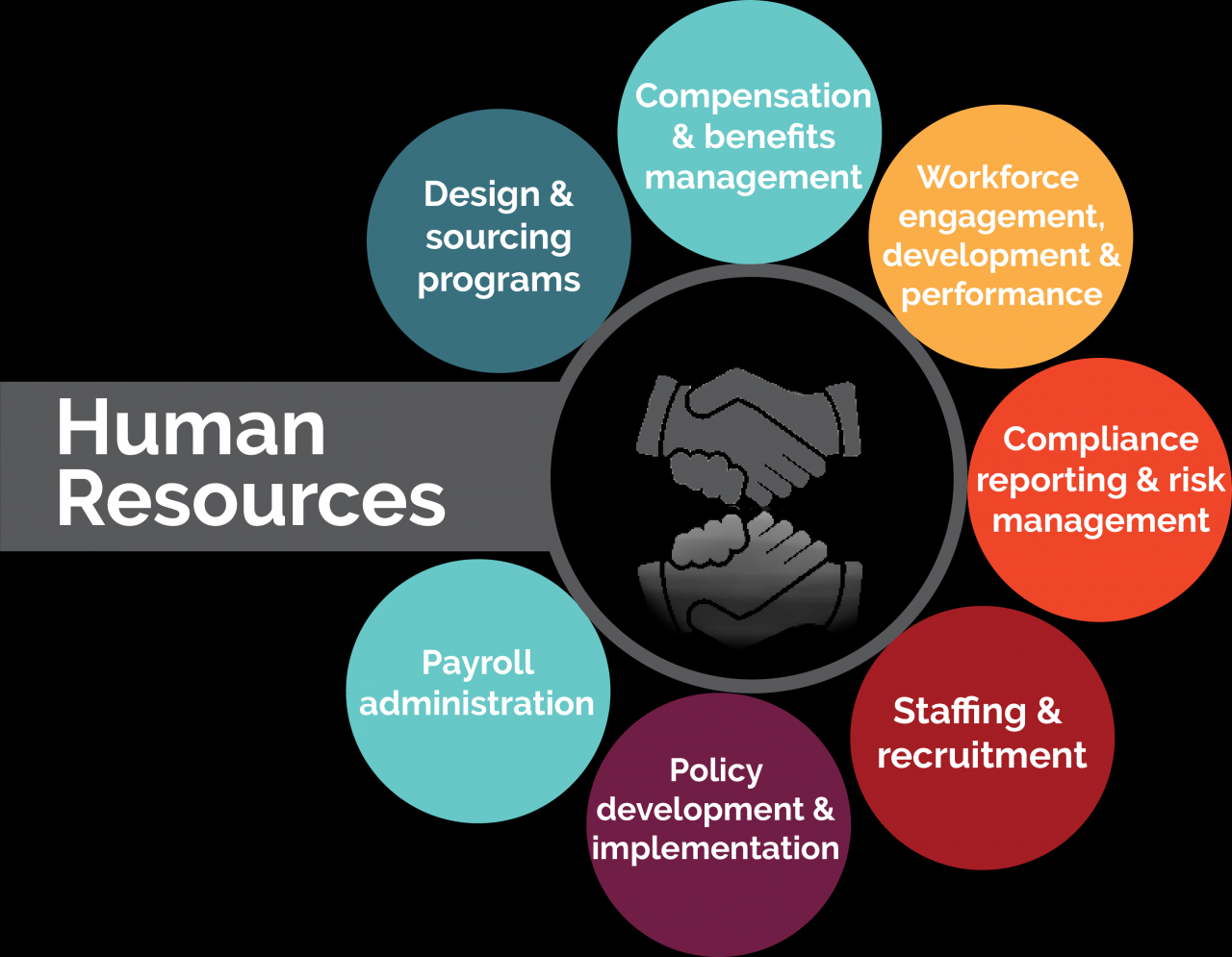 What are the common challenges in implementing a new HRIS system?
