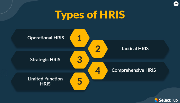 Best HRIS systems for small and medium-sized businesses