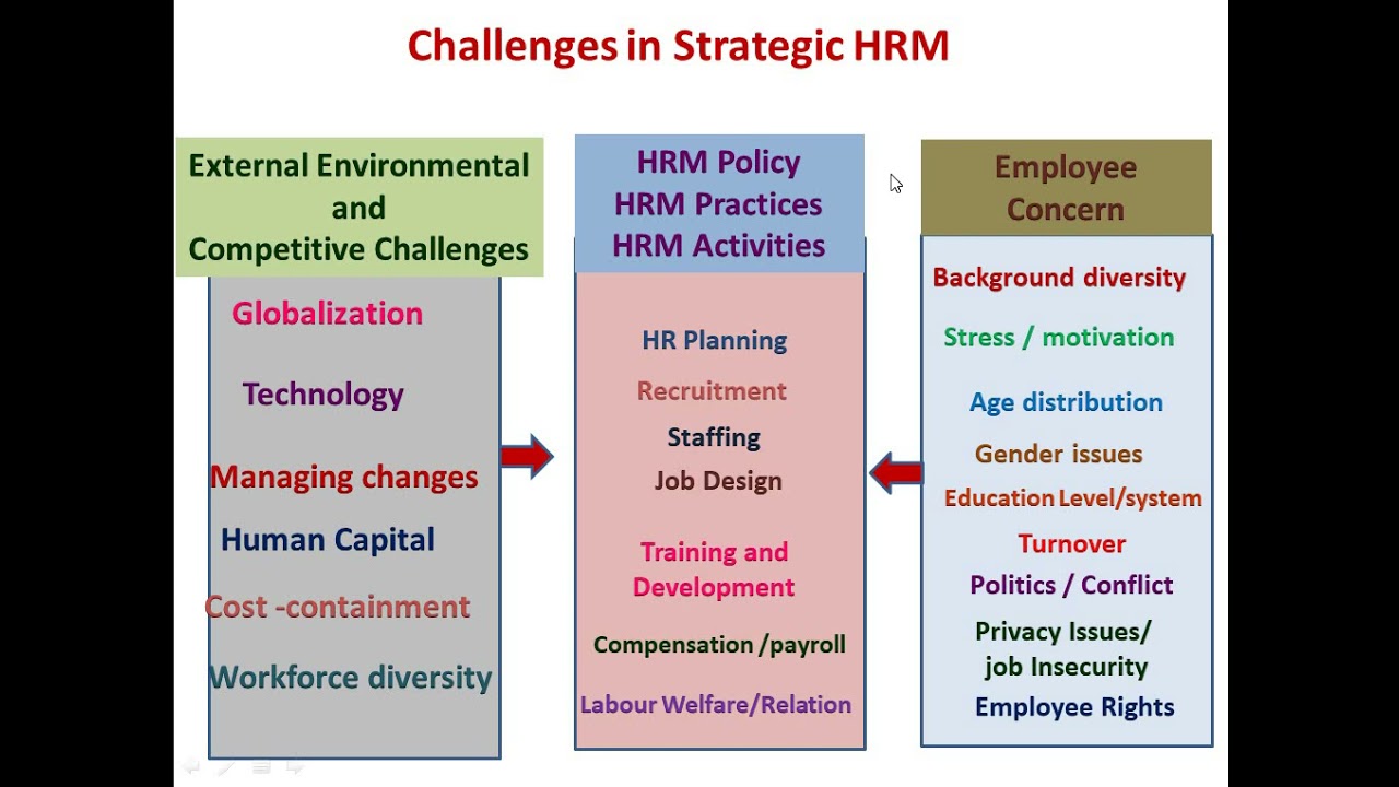 What are the common challenges in implementing a new HRIS system?