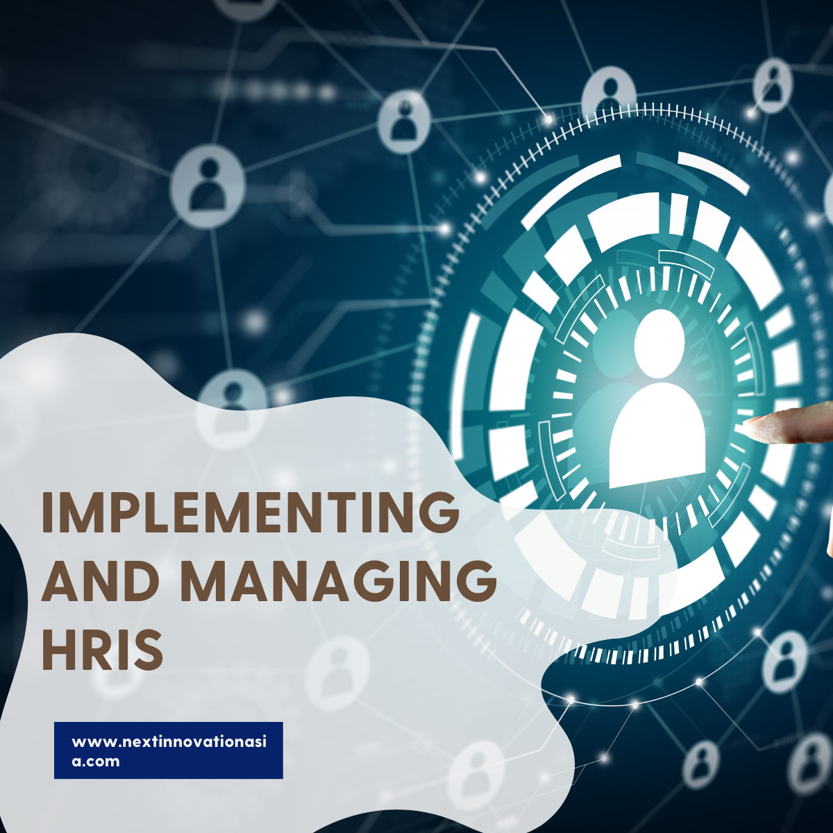 What are the best practices for integrating HRIS with other business systems?